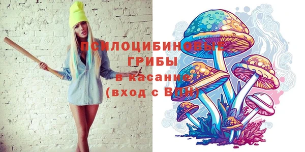 метамфетамин Алексин