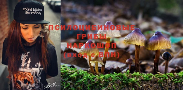 тгк Алексеевка